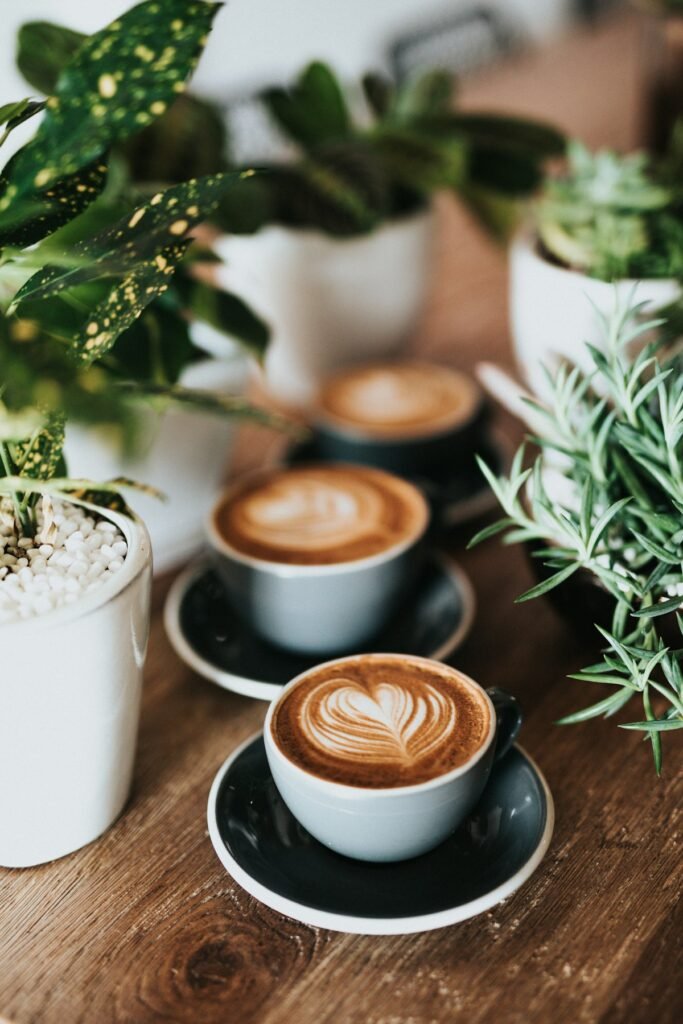 What is mushroom coffee beginners guide